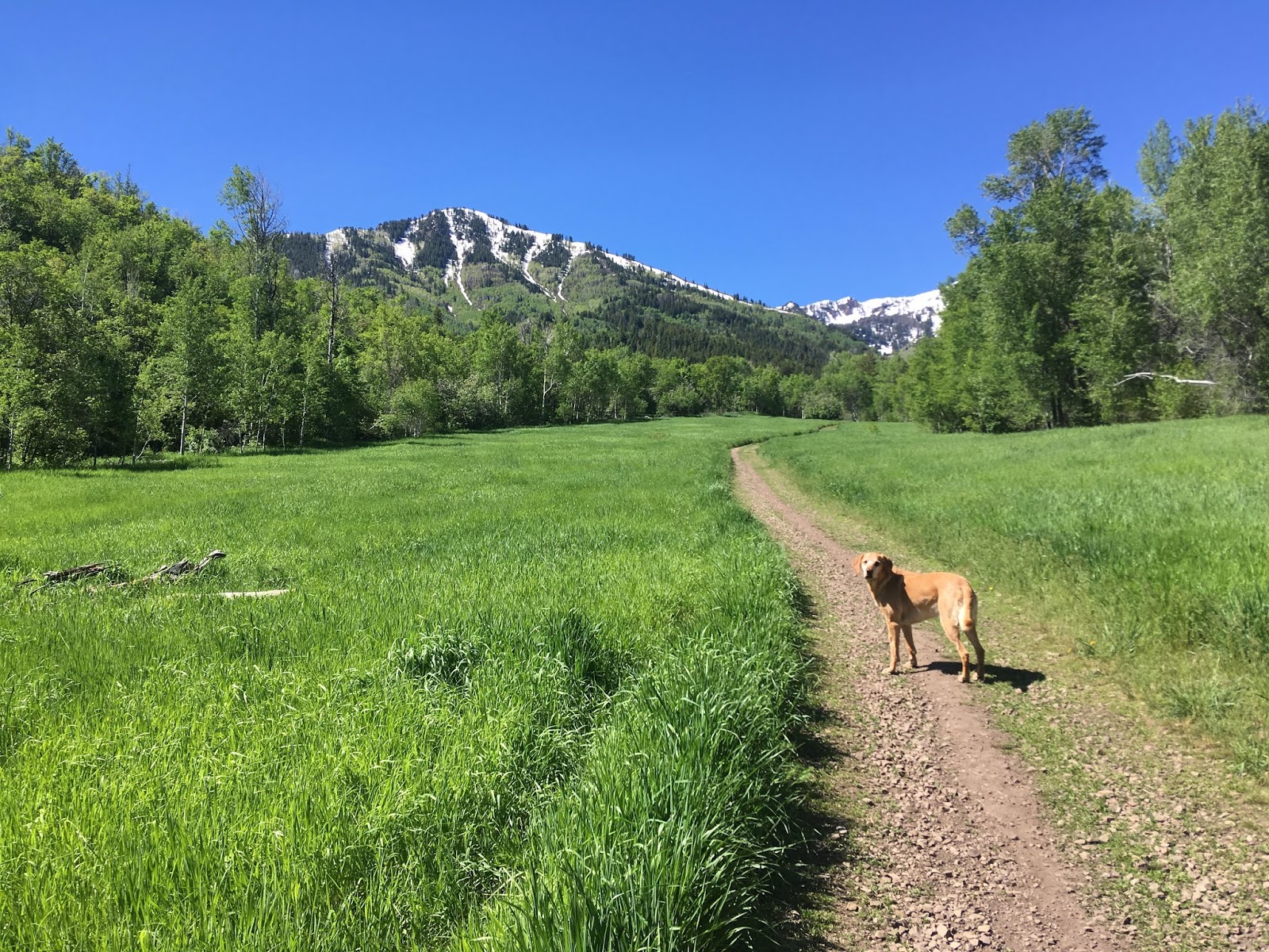 Hiking the Big Springs Hollow Trail