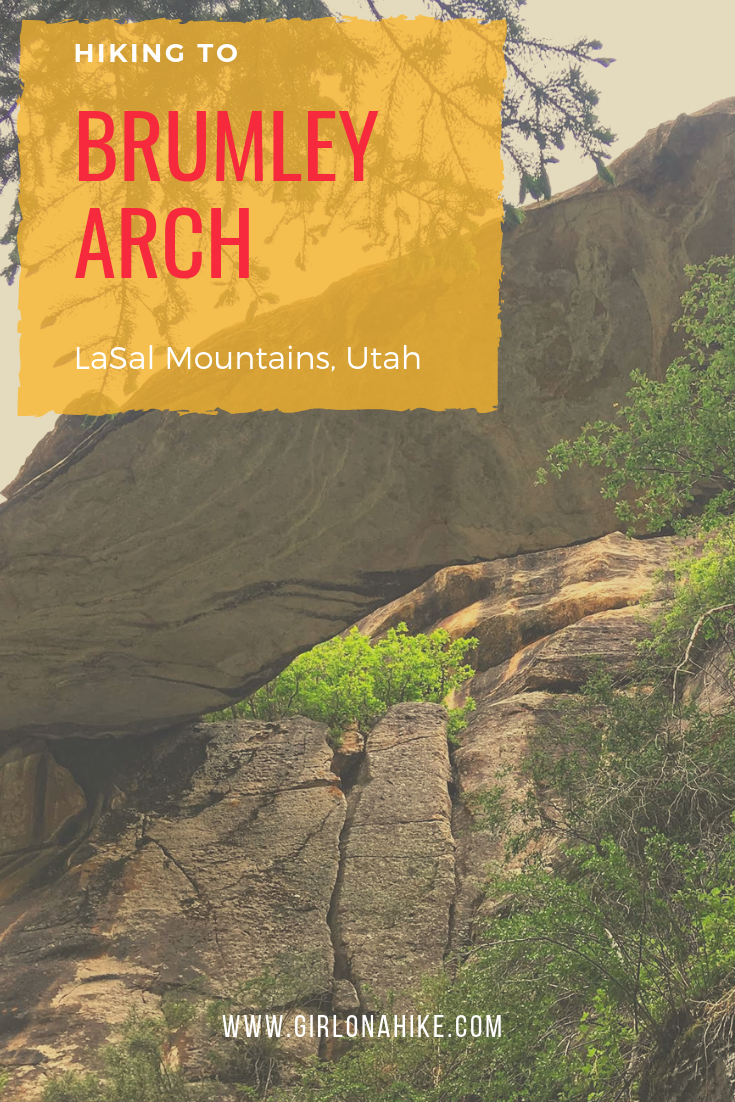 Hiking to Brumley Arch, LaSal Mountains, Hiking in Moab with Dogs
