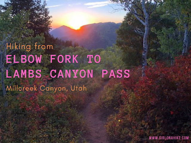 Hiking from Elbow Fork to Lamb's Canyon Pass