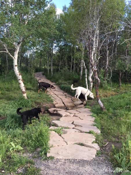Run-a-Muk Dog Park & Trail, Hiking in Utah with Dogs