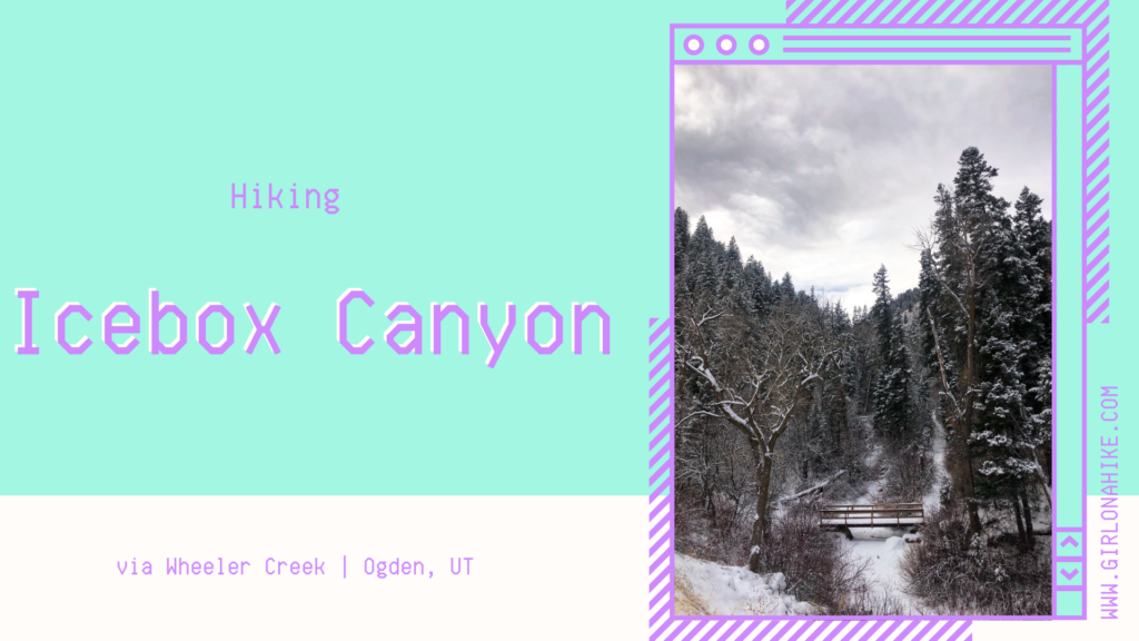 Hiking icebox canyon via wheeler creek