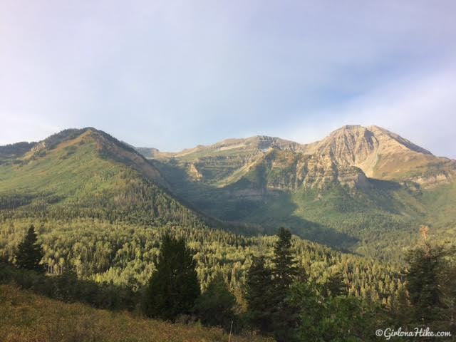 Hiking to the Pine Hollow Overlook, American Fork Canyon