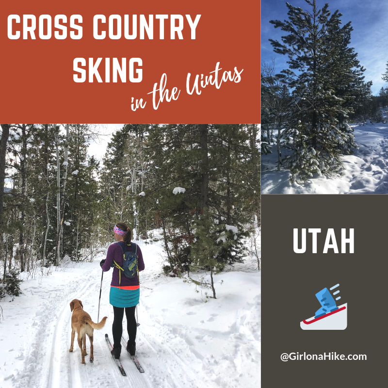 Cross Country Skiing in the Uintas