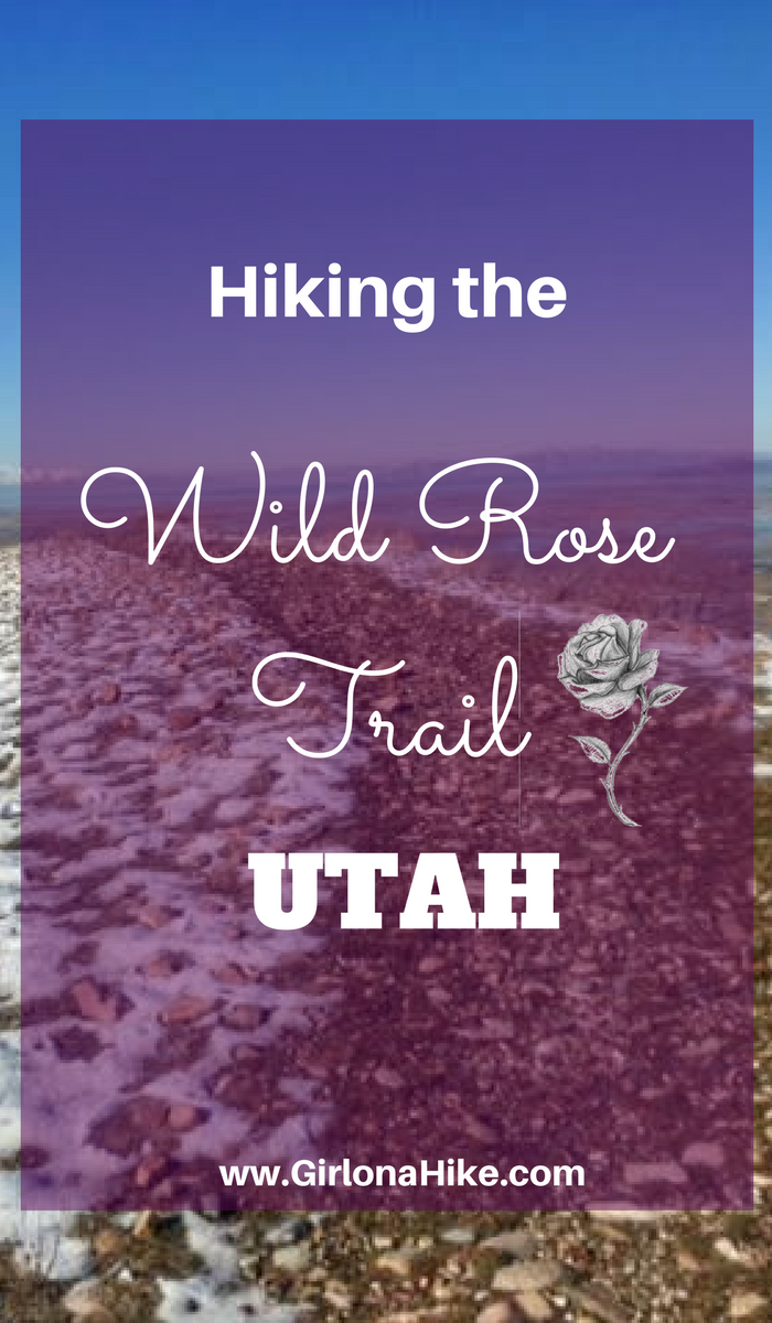 Hiking the Wild Rose Trail, North Salt Lake City
