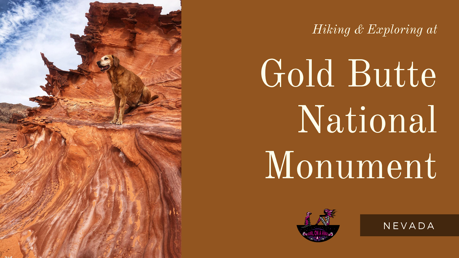 Hiking at Gold Butte National Monument, Hiking in Nevada with Dogs, hiking outside las vegas