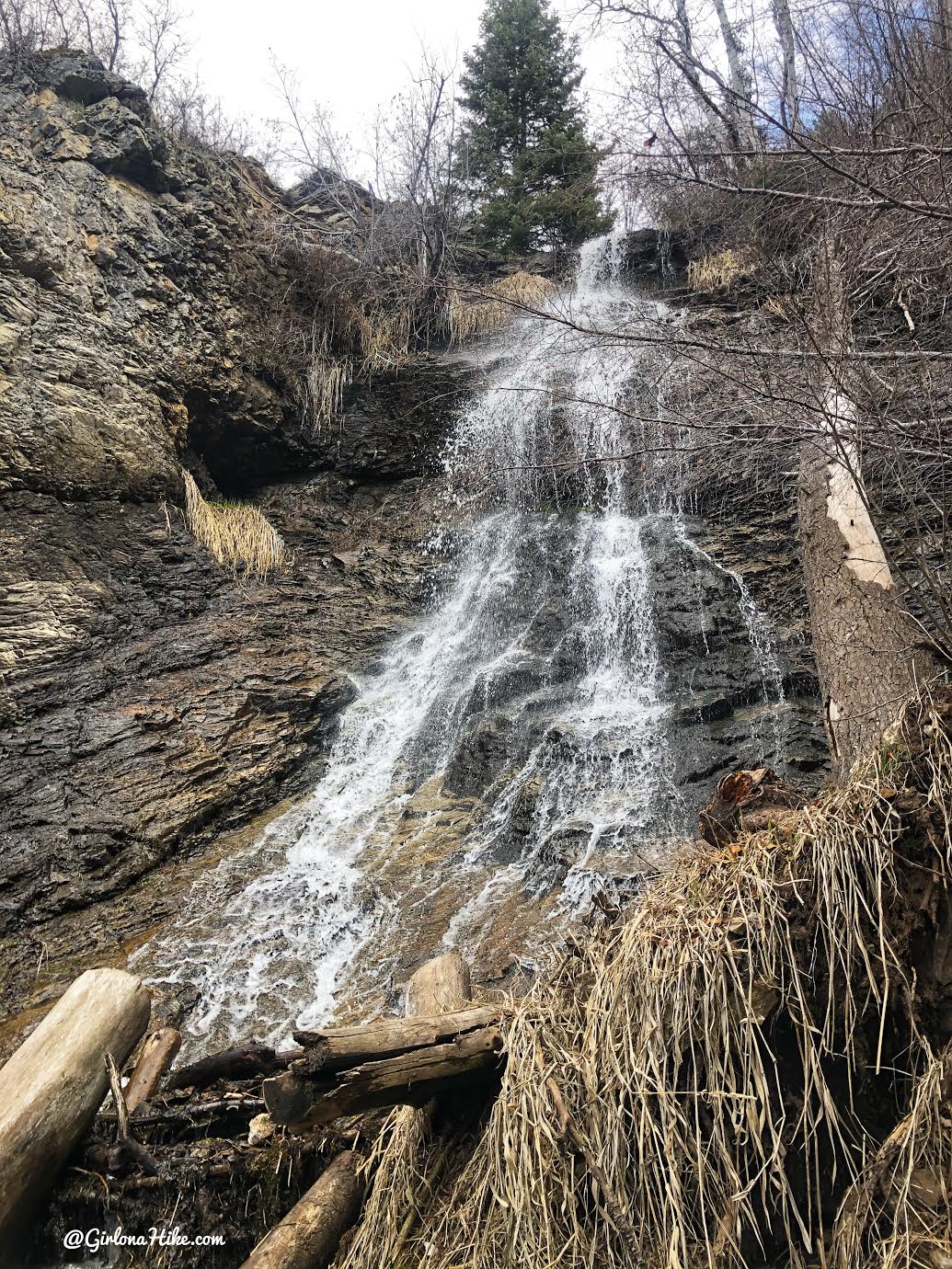 Hiking to the Davis Creek Waterfall, Utah, dogs that hike in utah