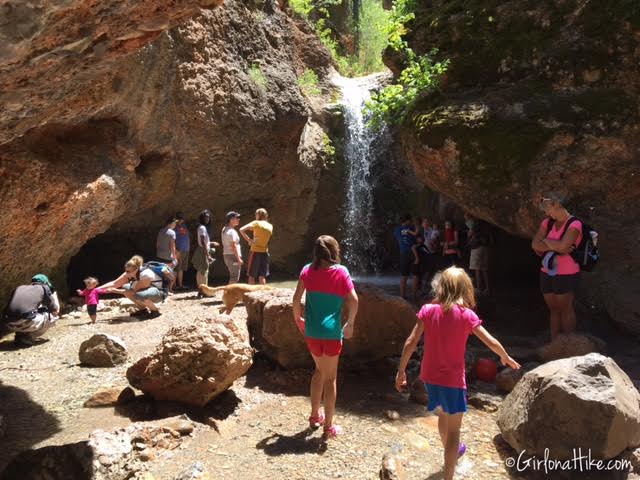 The Grotto Trail and Waterfall, Nebo Scenic Loop Road, Hiking in Utah with Dogs