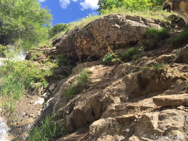 Davis Creek Waterfall, Davis Creek Trail, Hiking in Utah with Dogs