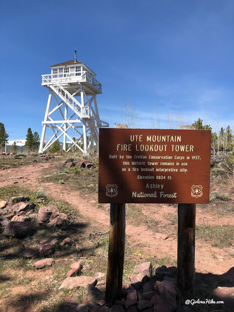 Camping & Exploring at Flaming Gorge National Rec Area, Ute Mountain Fire Lookout Tower