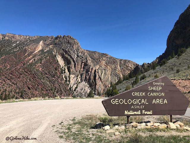 Camping & Exploring at Flaming Gorge National Rec Area, Sheep Creek canyon geological scenic drive