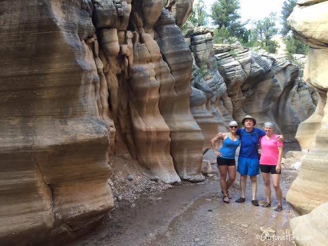 Hiking Willis Creek Slot Canyon, Hiking in Utah with Dogs