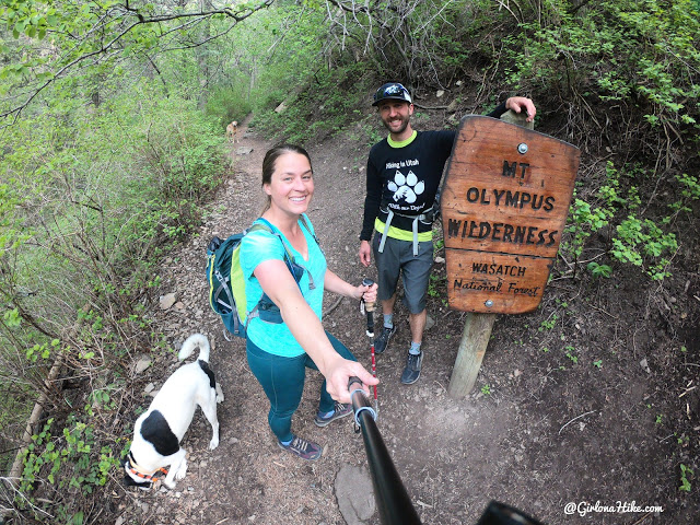 Hiking to Thaynes Canyon Peak, Hiking in Utah, Hiking in Utah with Dogs