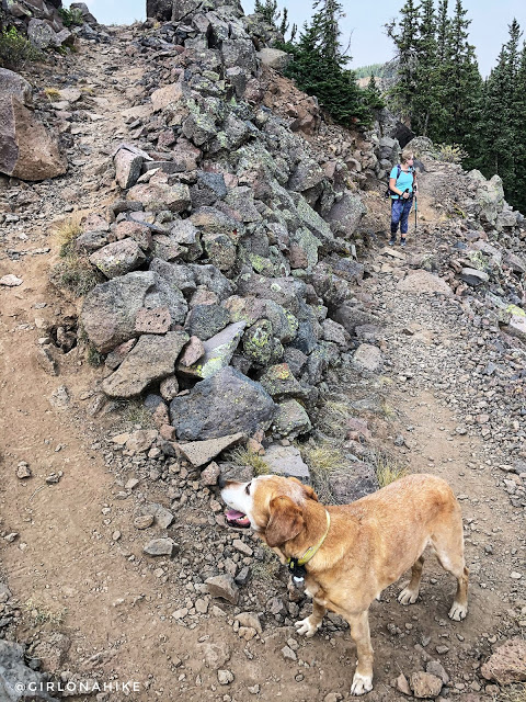 Hiking the Crag Crest Trail, Grand Mesa, Colorado
