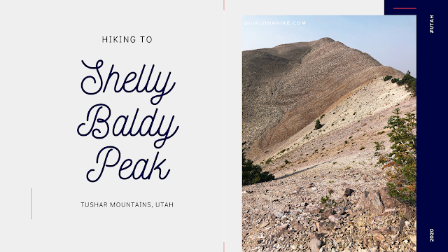 Hiking to Shelly Baldy Peak