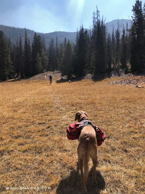 Backpacking to Hell Hole Lake & A-1 Peak, High Uintas