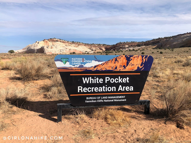 Exploring White Pocket, Vermillion Cliffs National Monument
