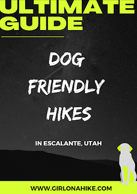 The Ultimate Guide - Dog Friendly Hikes in Escalante, Utah!