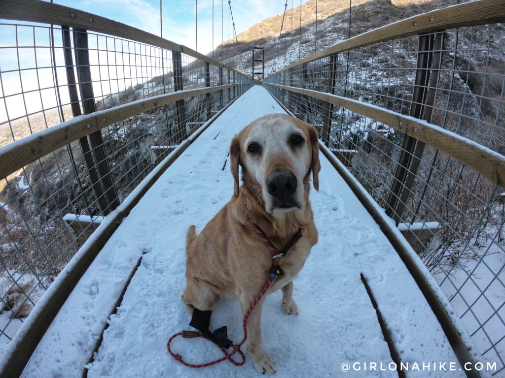 Hike to the Bear Canyon Suspension Bridge, Draper, UT