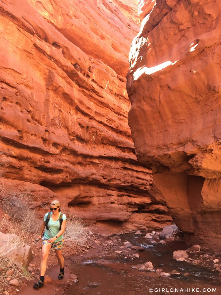 Hiking Mary Jane Slot Canyon, Moab