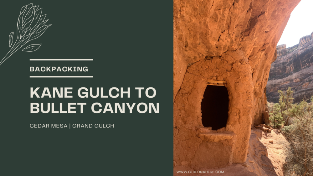 Backpacking Kane Gulch to Bullet Canyon, Cedar Mesa
