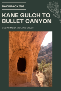 Backpacking Kane Gulch to Bullet Canyon, Cedar Mesa