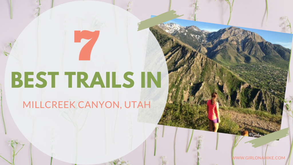 The 7 Best Trail in Millcreek Canyon