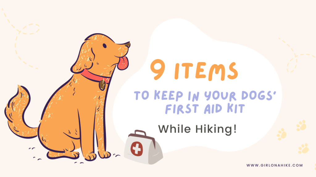 9 Items to Keep in Your Dog's First Aid Kit while Hiking