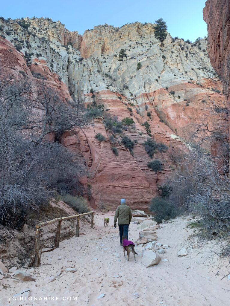 Hike Red Hollow Canyon, Orderville, Utah